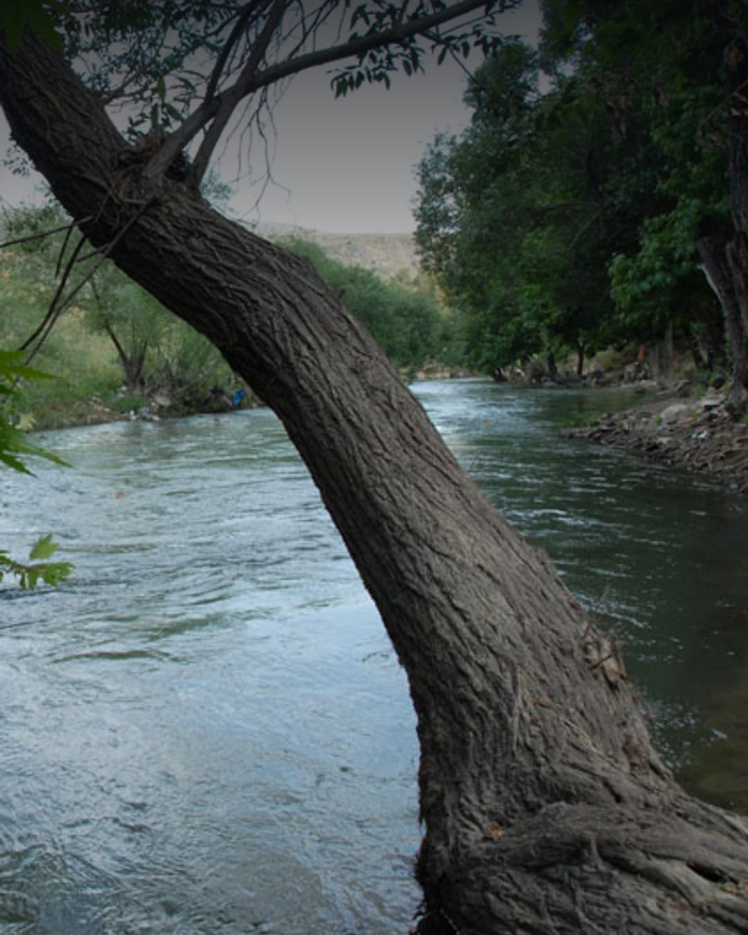 Litani River in southern Lebanon